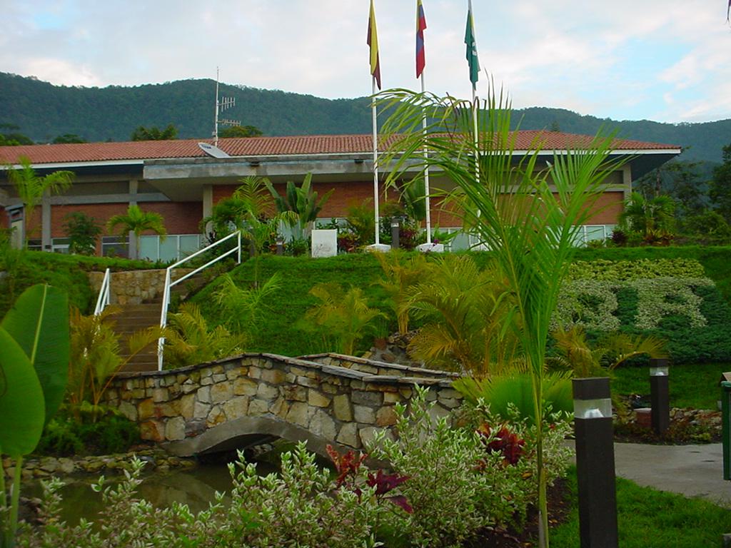 Campo Guando - Petrobras